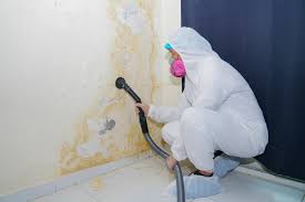 Why You Should Choose Our Mold Remediation Services in Marbury, AL